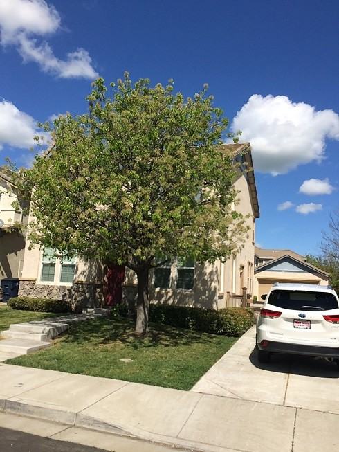 2957 Taylor Way - Photo 2 of 28