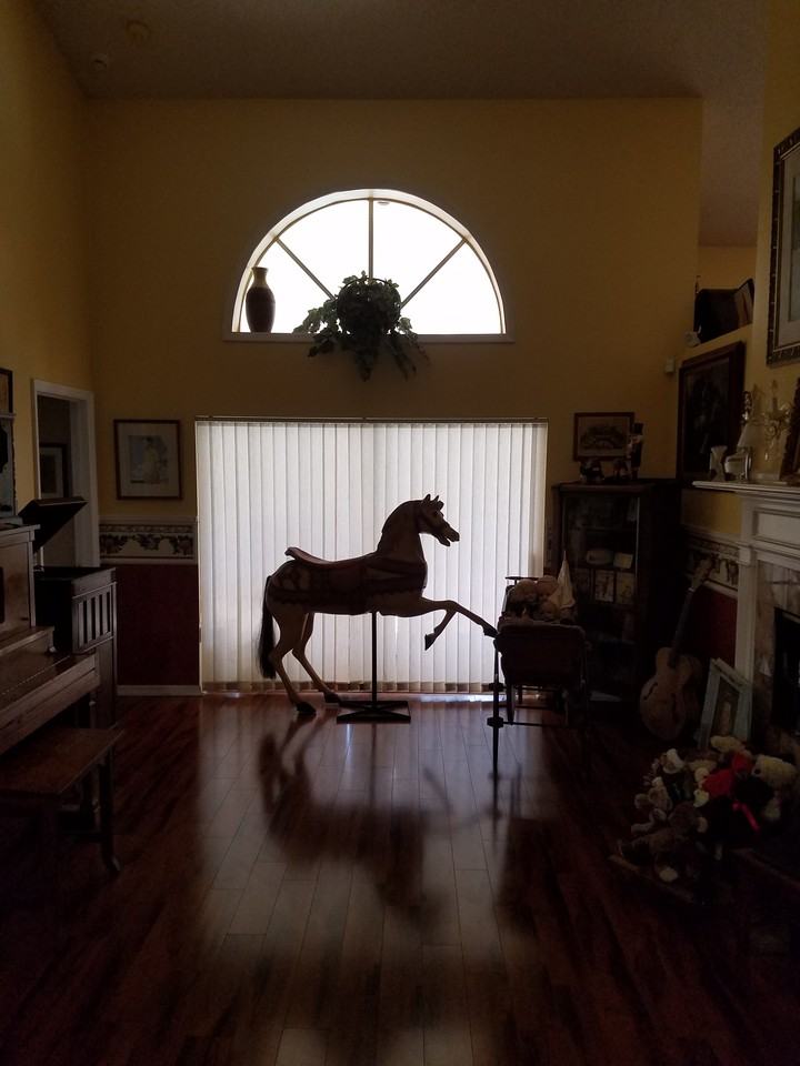 18240 Clear Lake Dr - Photo 3 of 9