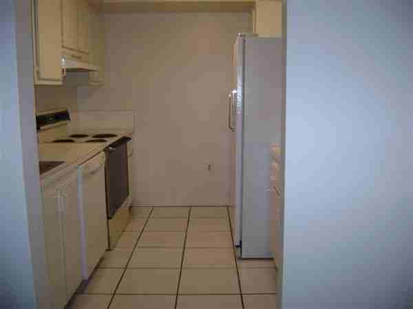 The Pines of Springtree - Photo 3 of 10