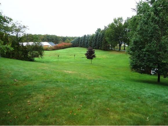 38 Pine Hill Rd - Photo 3 of 24