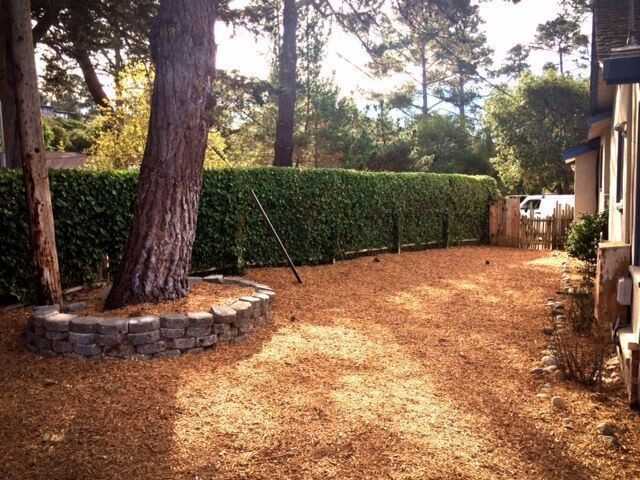 24630 Cabrillo St - Photo 3 of 5
