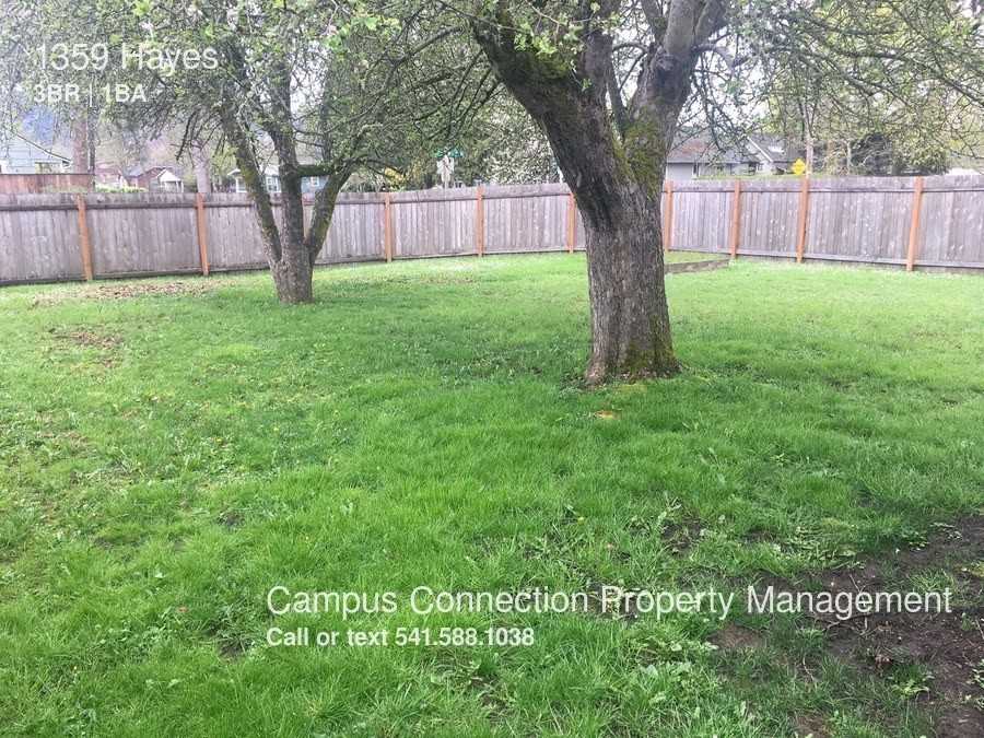 1359 Hayes St - Photo 2 of 11