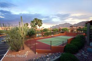 6651 N Campbell Ave - Photo 2 of 15