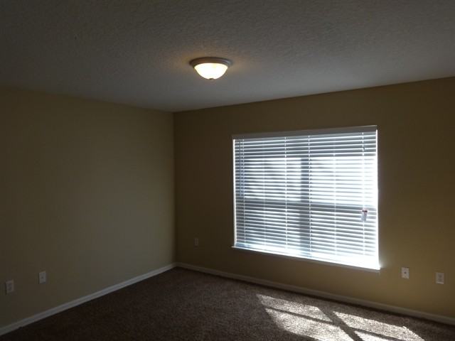 1249 Macon Dr - Photo 2 of 17