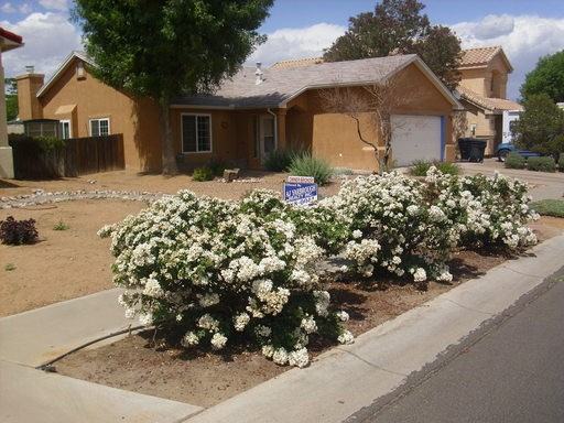 4509 Samara Rd NW - Photo 2 of 18