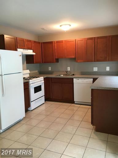 4537 Knoll Dr - Photo 2 of 30