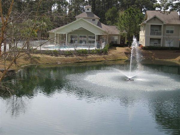 The Legends - Photo 2 of 4