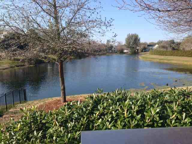 853 Portabella Ln - Photo 2 of 14