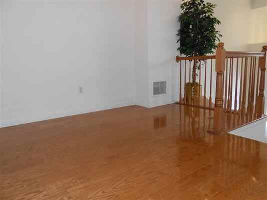 339 Oswego Ct - Photo 3 of 13