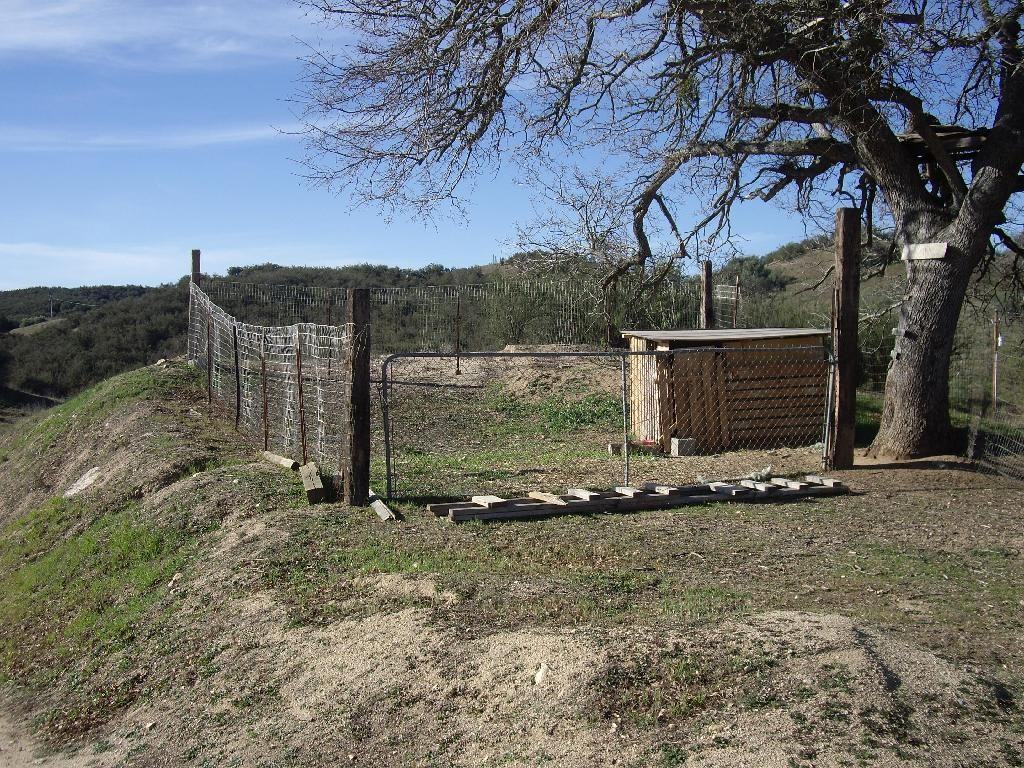 9321 Blue Rd - Photo 2 of 14