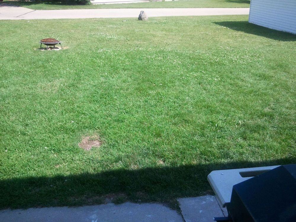 1107 Manitowoc Rd - Photo 3 of 14