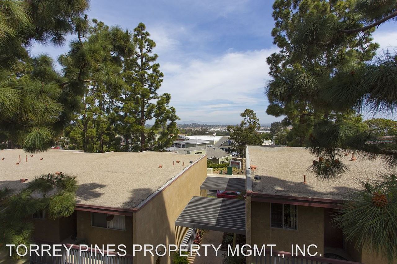 13850 Mango Drive - Photo 3 of 9