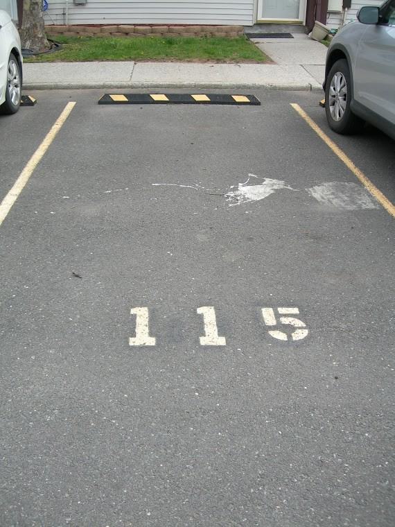 115 Raily Ct - Photo 2 of 20