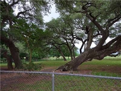 10309 US-290 - Photo 2 of 17