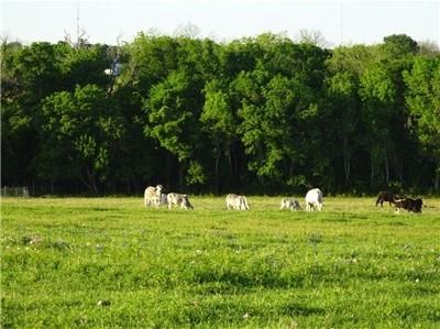 10309 US-290 - Photo 3 of 17