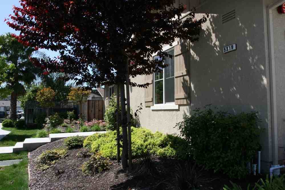 5319 Cedar Grove Cir - Photo 2 of 23