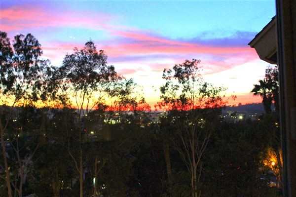 6255 rancho mission road - Photo 2 of 55