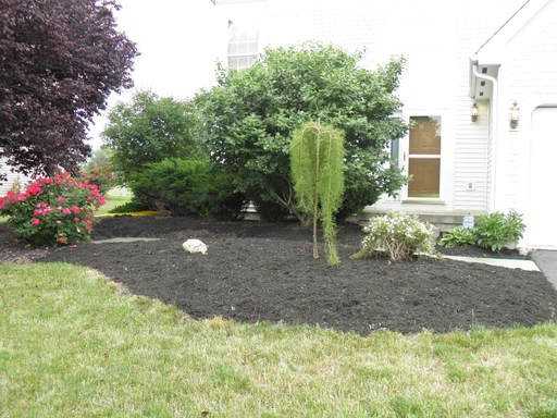 560 Dove St - Photo 3 of 45