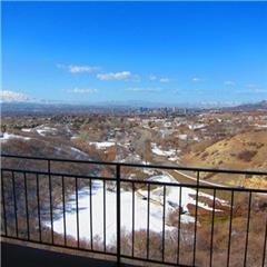 910 Donner Way - Photo 3 of 20