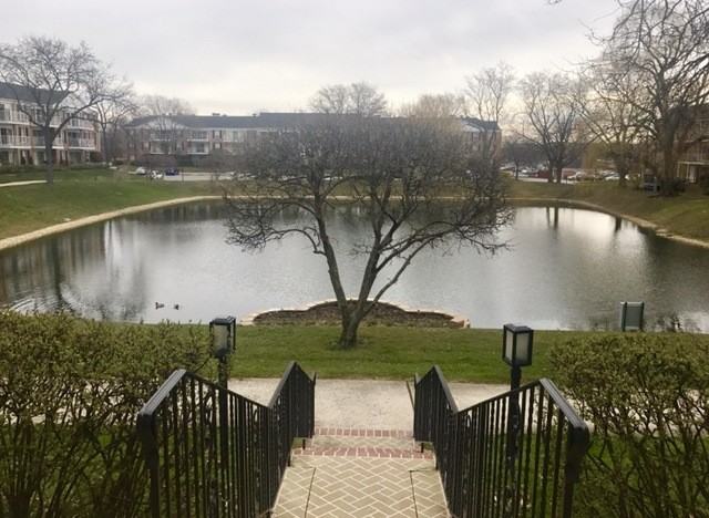 17W728 Butterfield Rd #313 - Photo 2 of 11