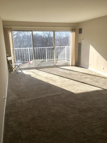 17W728 Butterfield Rd #313 - Photo 3 of 11