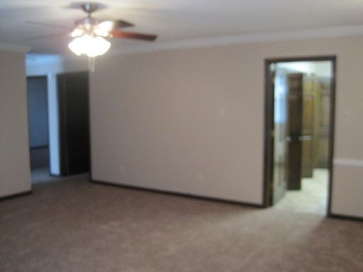 11719 S Williamsburg Dr - Photo 3 of 15