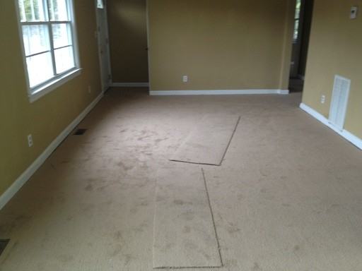 3731 Victoria Blvd - Photo 2 of 11