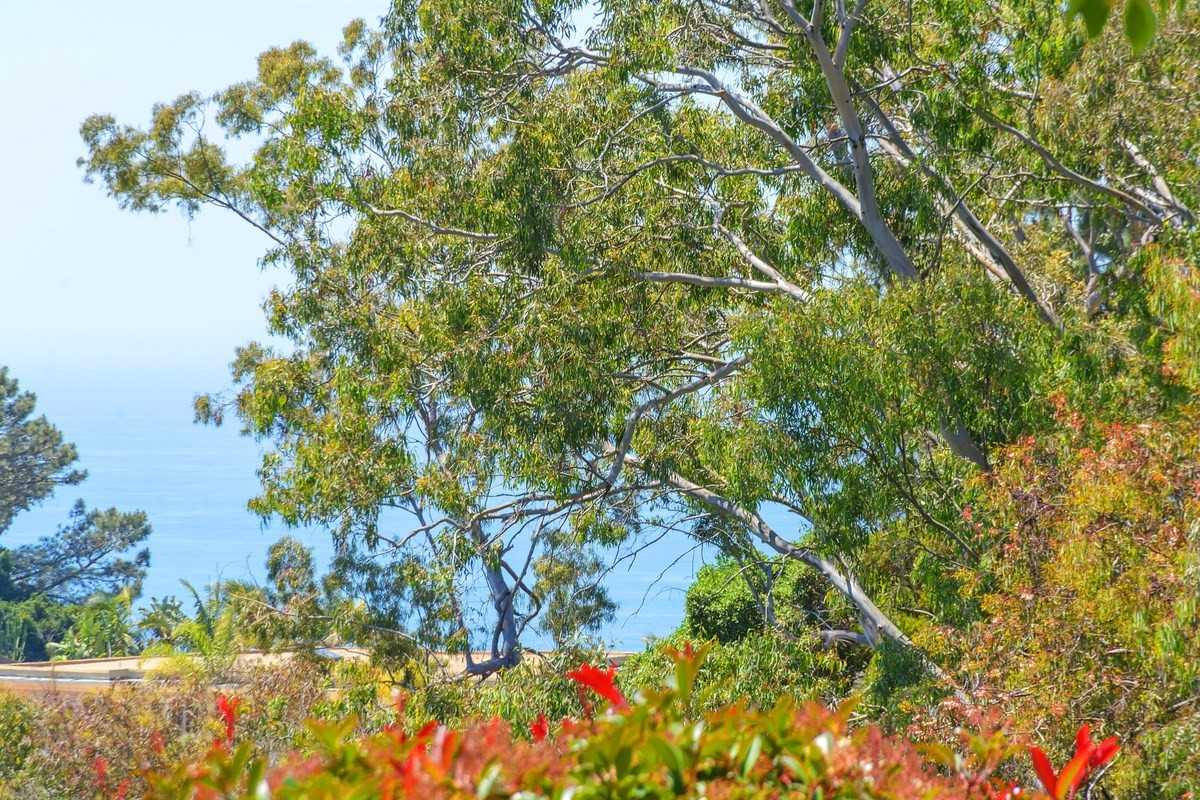 6150 La Jolla Mesa Dr - Photo 2 of 25