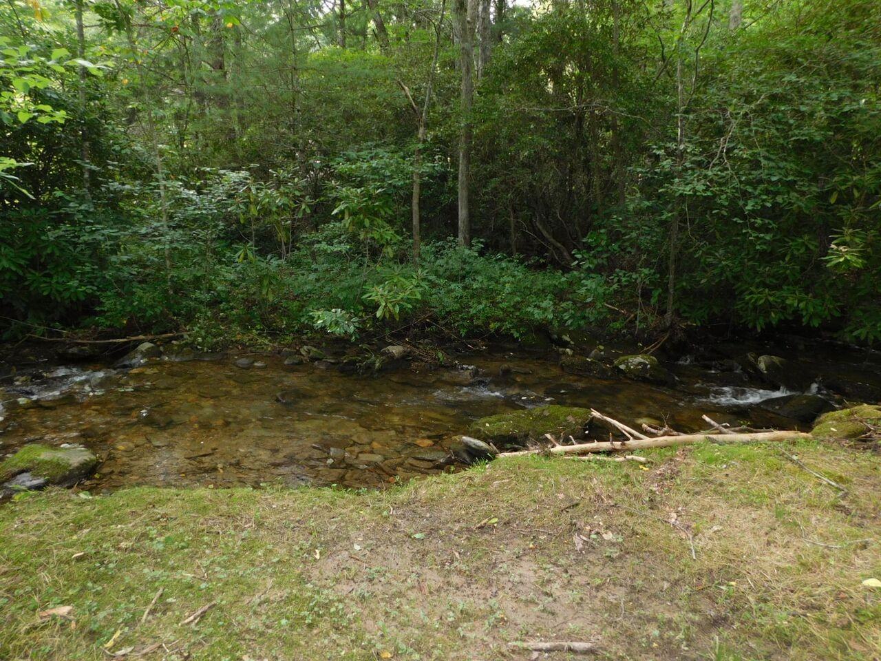 1051 Upper Plott Town Rd - Photo 3 of 7