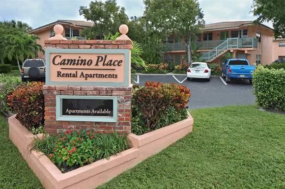 Golden Palms - Photo 5 of 13