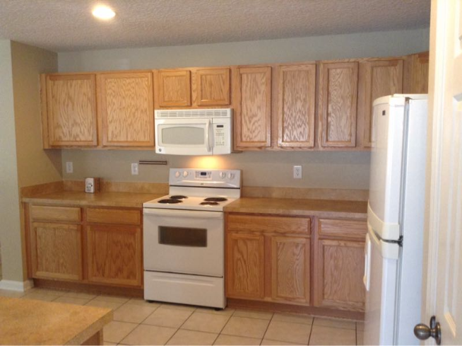 1347 Pup Fish Ln - Photo 3 of 5