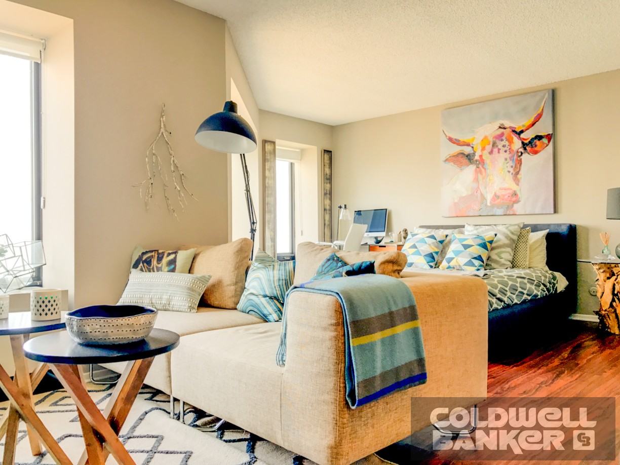 N Lake Shore Dr & E Erie St #2203