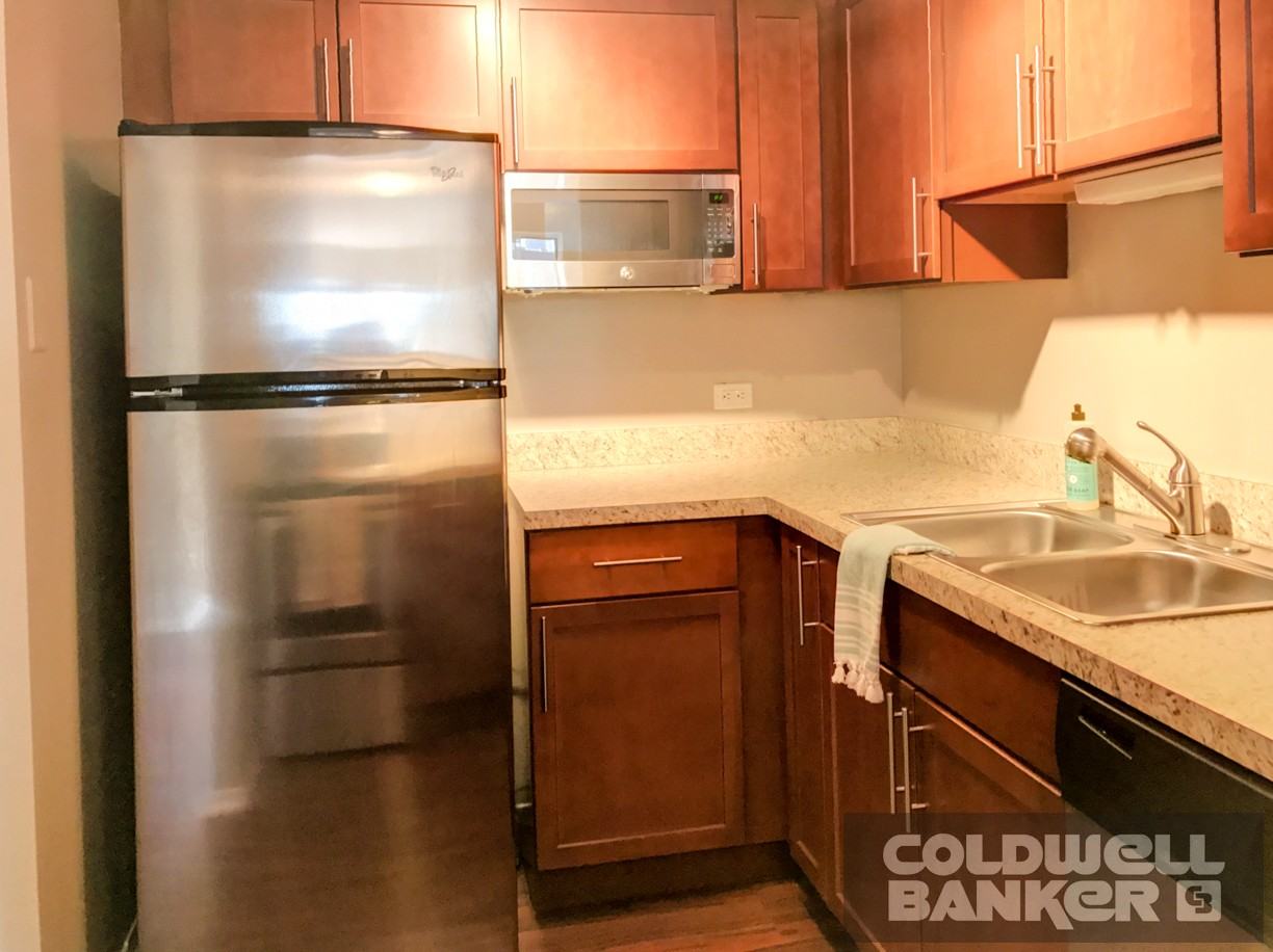 N Lake Shore Dr & E Erie St #1611