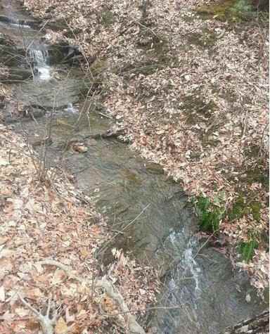 85 Cashew Ln - Photo 2 of 13