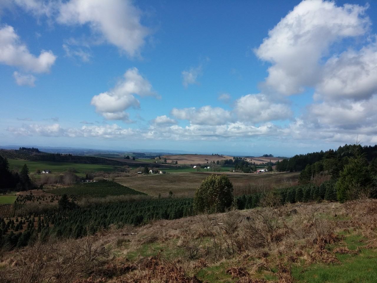 17761 Jasper Ln SE - Photo 2 of 19