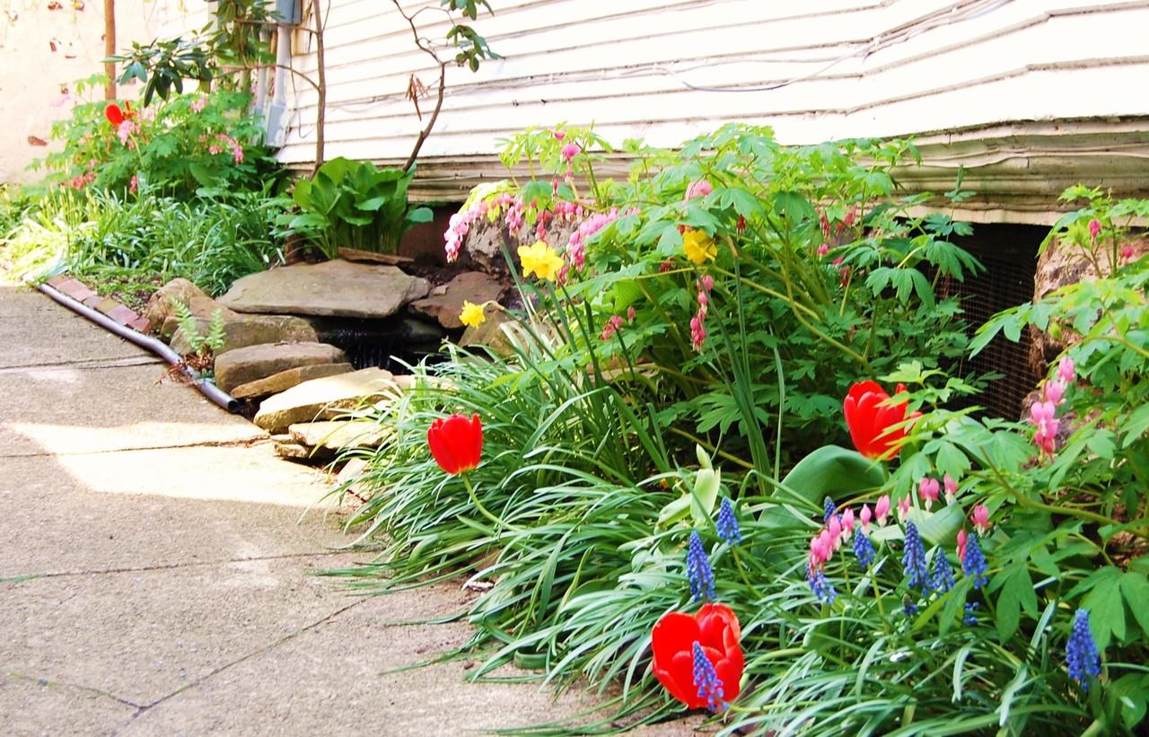 Elmwood Ave & Hodge Ave #6 - Photo 3 of 13