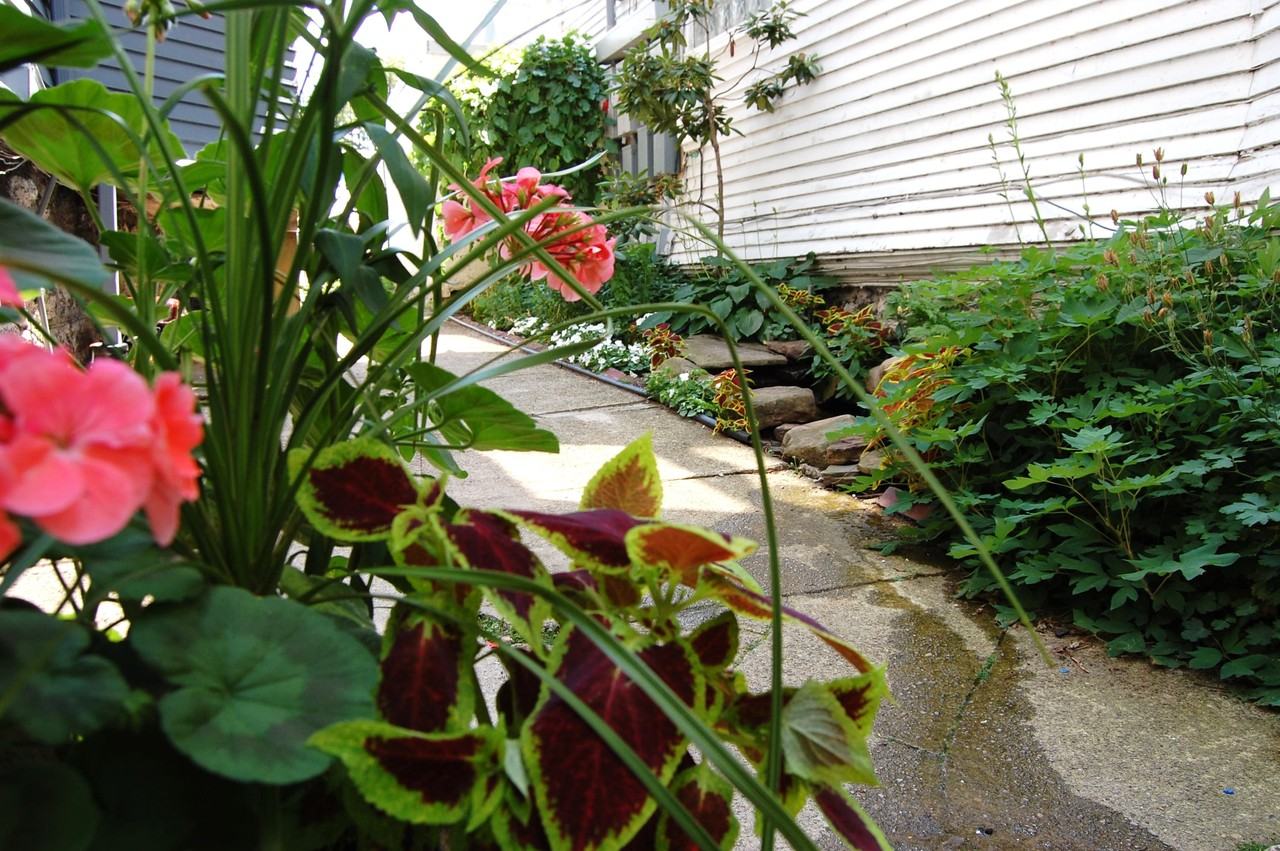 Elmwood Ave & Hodge Ave #6 - Photo 2 of 13
