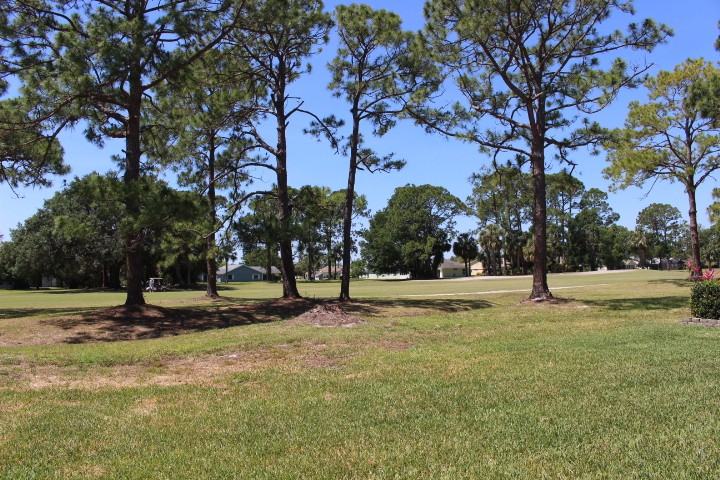 15 Lake Fairgreen Cir - Photo 2 of 8