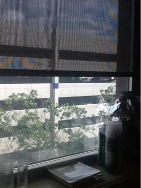 4419 3rd Ave #101 - Photo 2 of 2