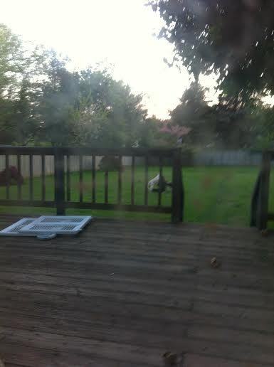 4704 Warner Dr - Photo 3 of 9