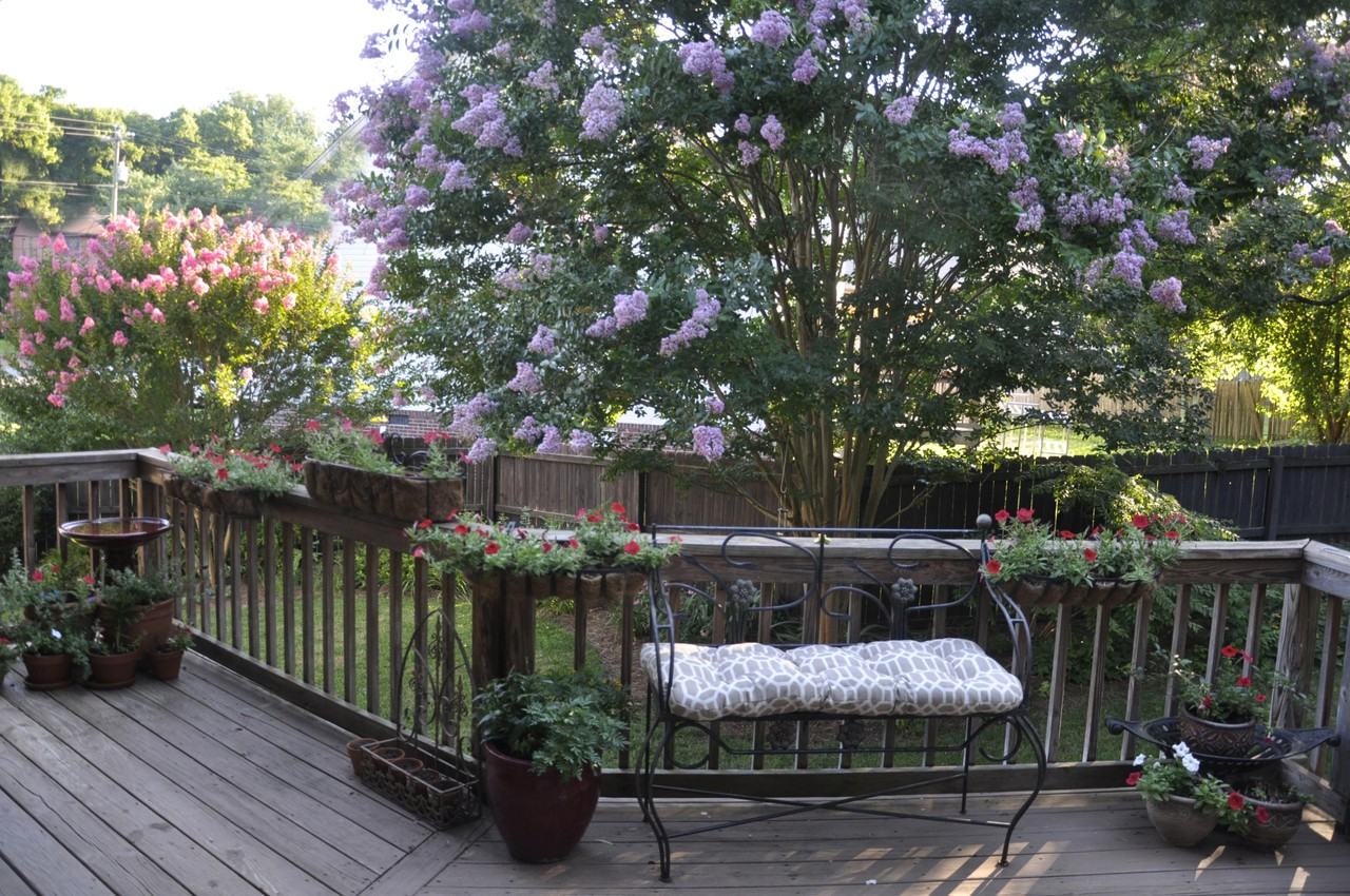 933 Morton Mill Rd - Photo 3 of 32