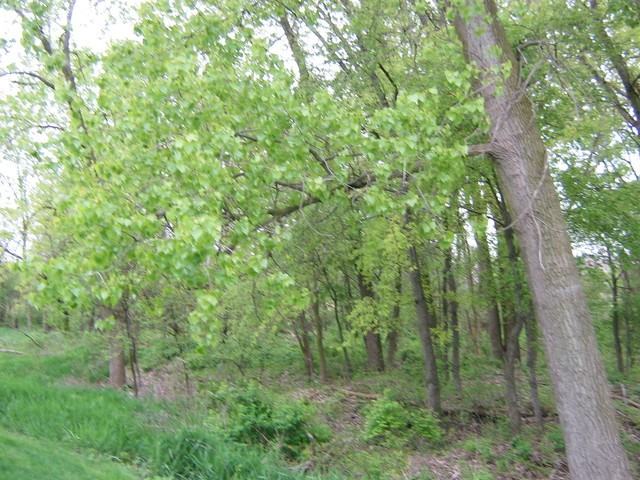 21331 Windy Hill Dr #21331 - Photo 3 of 11