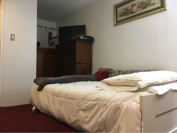 357 W 122nd St - Photo 3 of 6