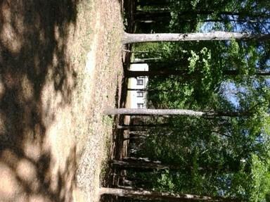 167 Magnolia Ln - Photo 2 of 18