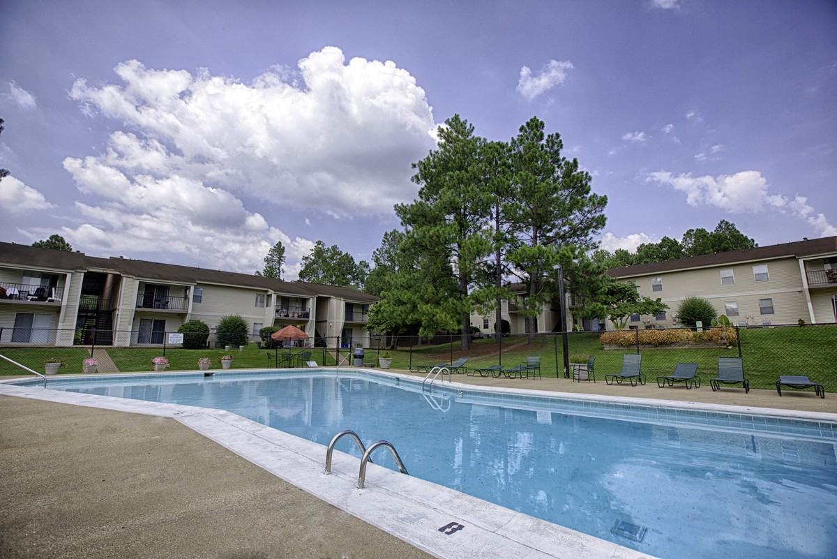 High Country - Photo 3 of 11