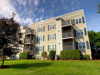 206 Mt Hope St 1 Lowell Ma 01854 2 Bedroom Apartment For