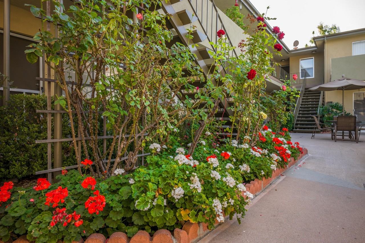 Sherman Oaks Rivera - Photo 3 of 19