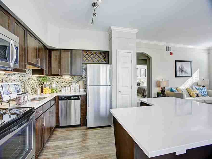 Lowry Park - Photo 2 of 26