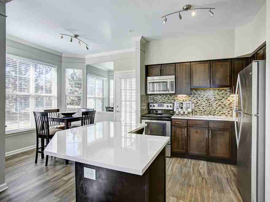 Lowry Park - Photo 3 of 26