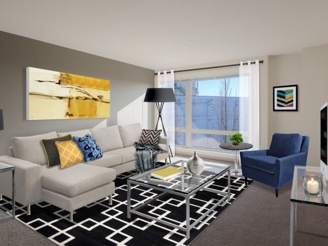 Viva - Photo 2 of 40